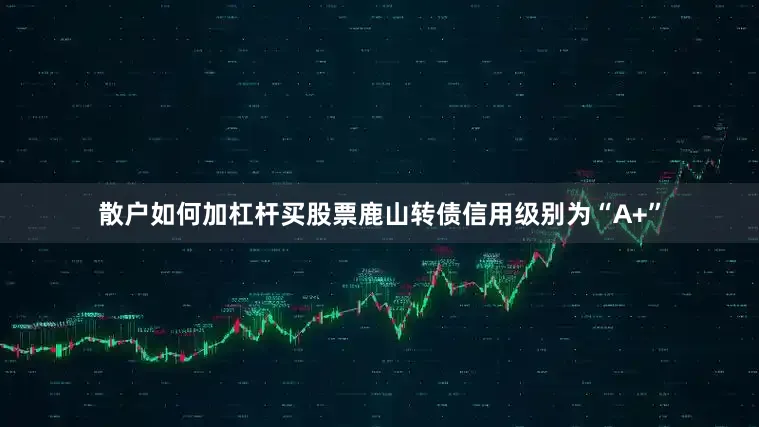 散户如何加杠杆买股票鹿山转债信用级别为“A+”