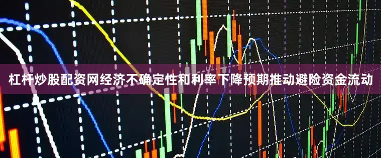 杠杆炒股配资网经济不确定性和利率下降预期推动避险资金流动