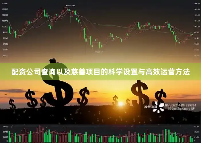 配资公司查询以及慈善项目的科学设置与高效运营方法